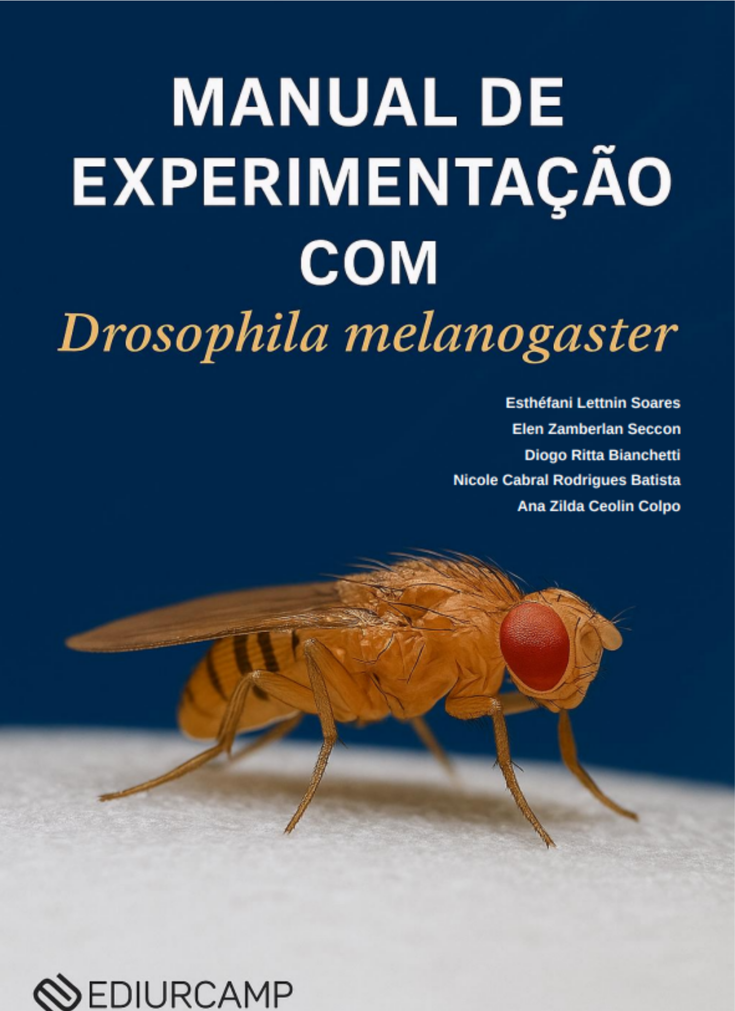 Clique e Acesse